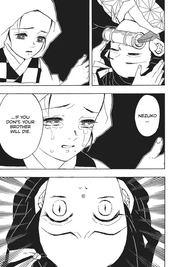 Demon Slayer Chapter 40 image 11_optimized
